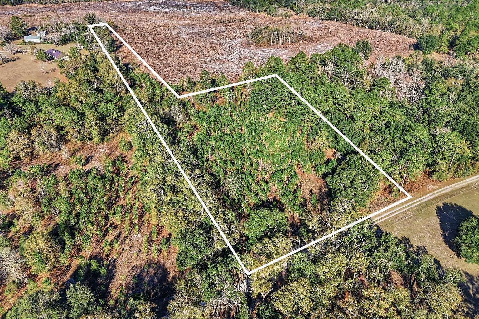 Us Highway 129 Live Oak, FL 32060 - Thumbnail 4