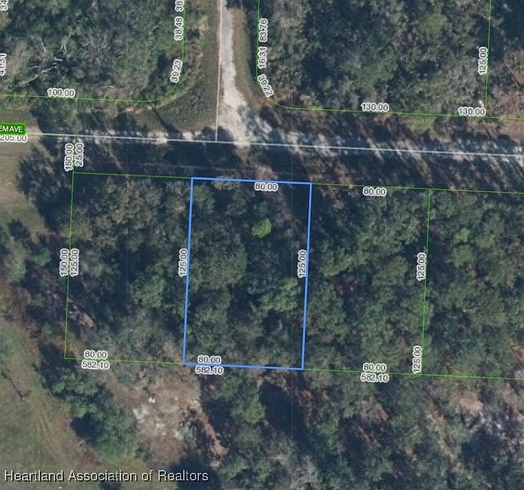 3110 Salem Ave Lake Placid, FL 33852 | Land/Lot