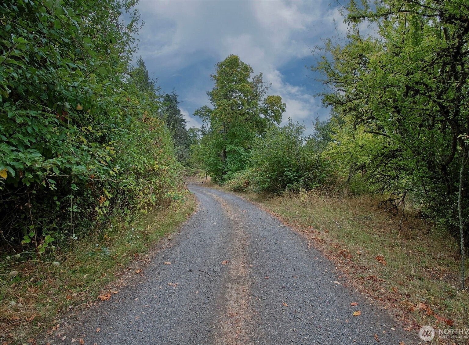 406 Chehalis St Kalama, WA 98625 - Thumbnail 4