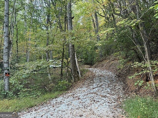 0 Wood Sorrel Ln LOT 727/726 Clayton, GA 30525 - Thumbnail 4