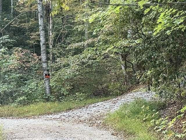 0 Wood Sorrel Ln #727 Clayton, GA 30525 - Thumbnail 4