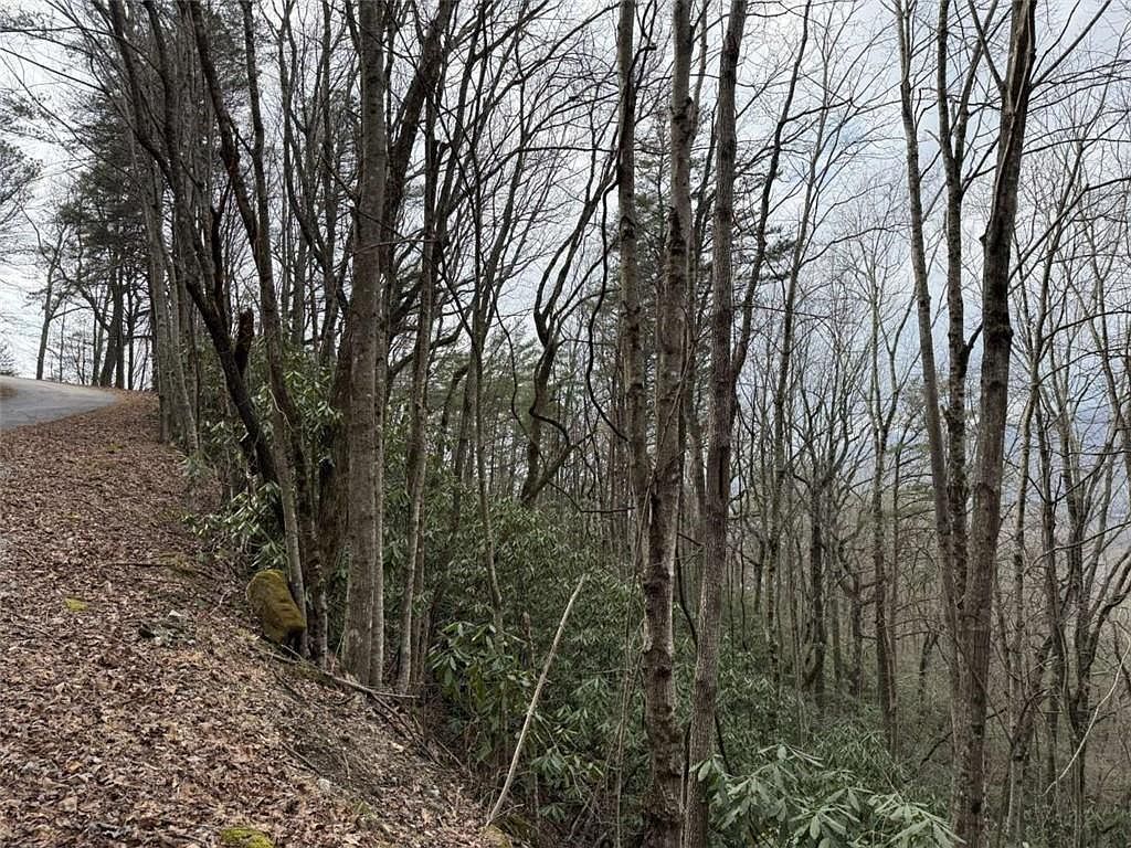 416 Screamer Dr Clayton, GA 30525 - Thumbnail 4