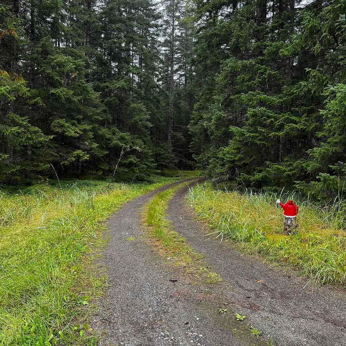 7 Parker Dr Gustavus, AK 99826 - Thumbnail 4