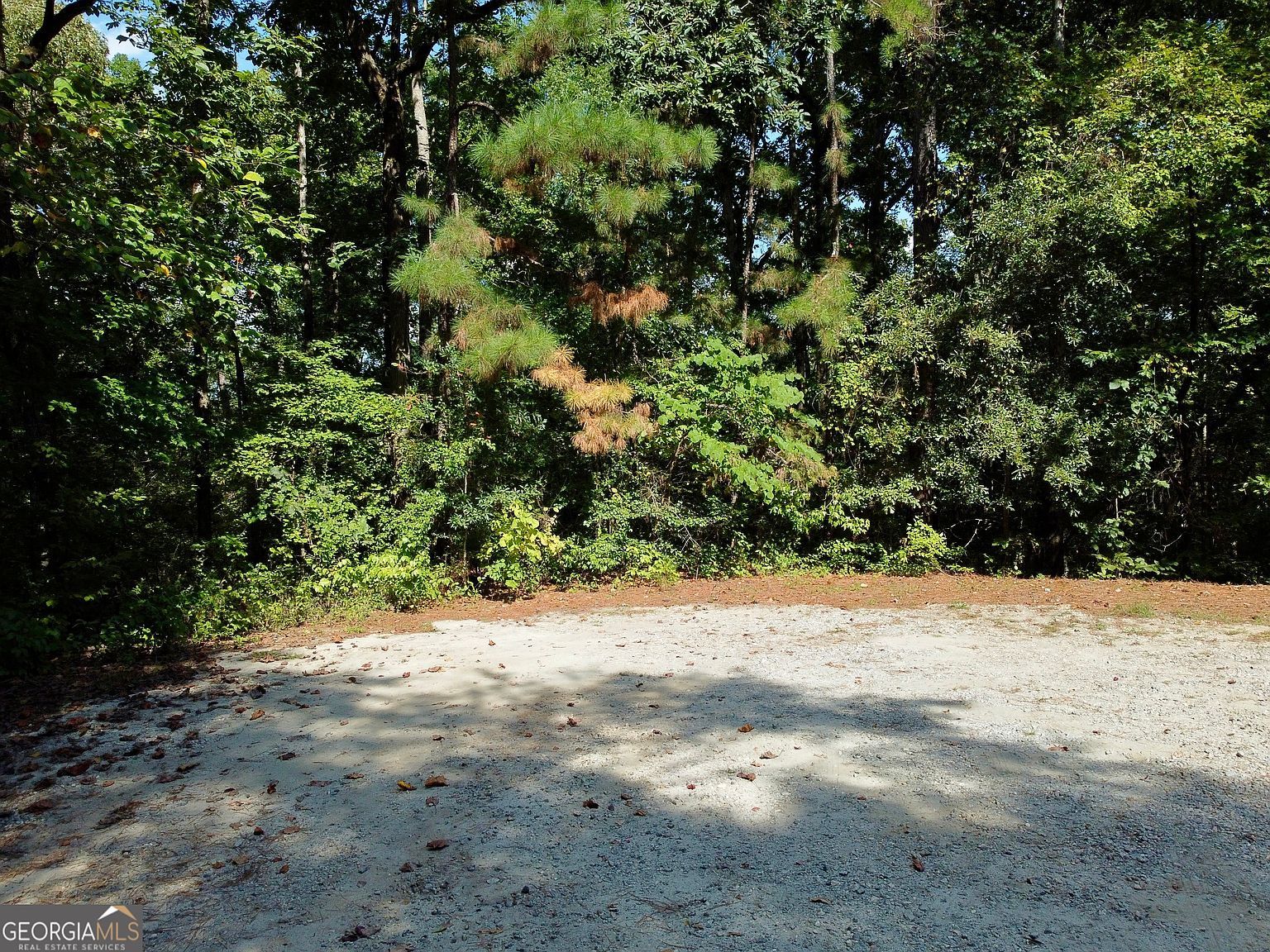 350 Hummingbird Dr Monticello, GA 31064 - Thumbnail 4