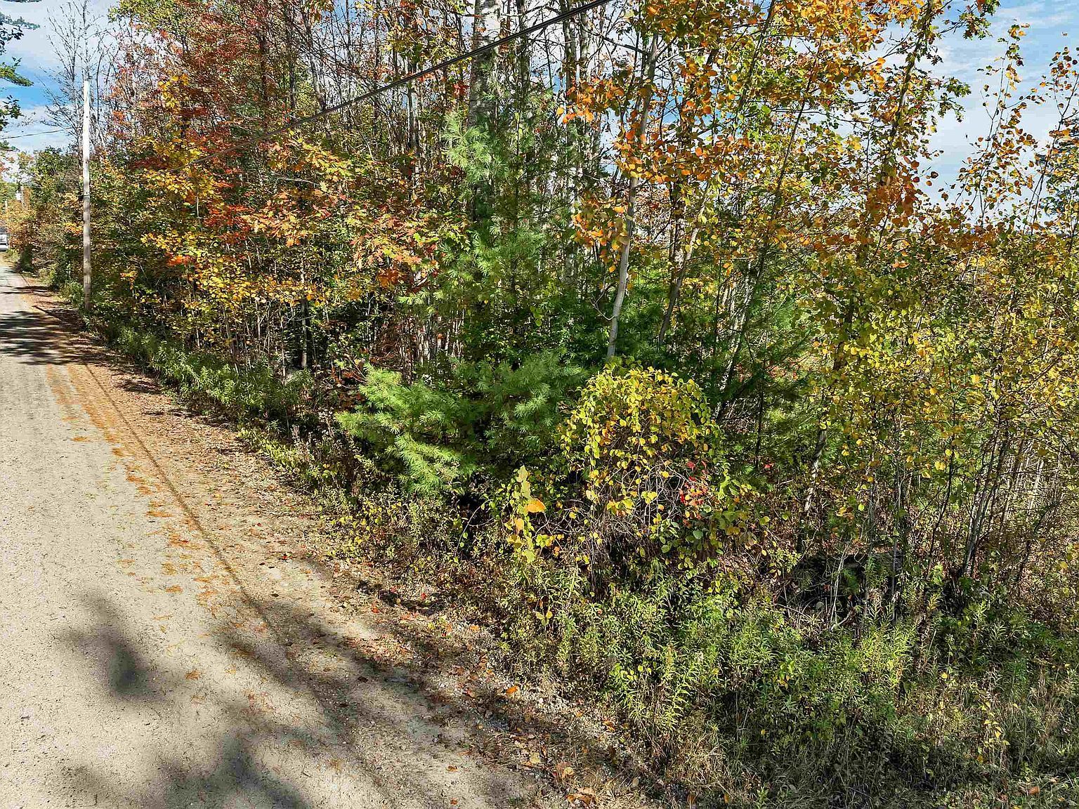 44 Williams Hill Rd Grafton, NH 03240 - Thumbnail 4