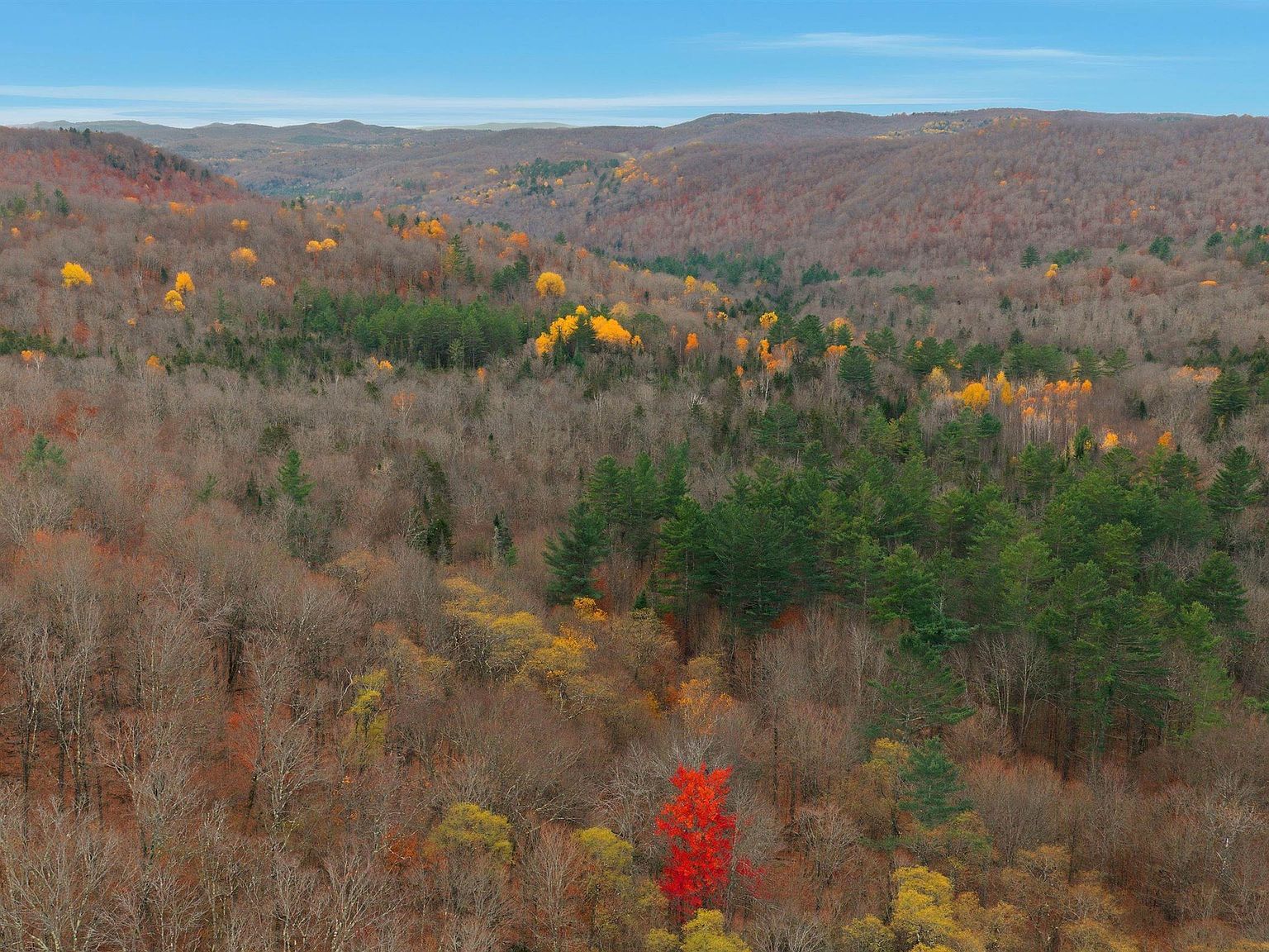 230 Taylor Valley Rd Strafford, VT 05072 - Thumbnail 4