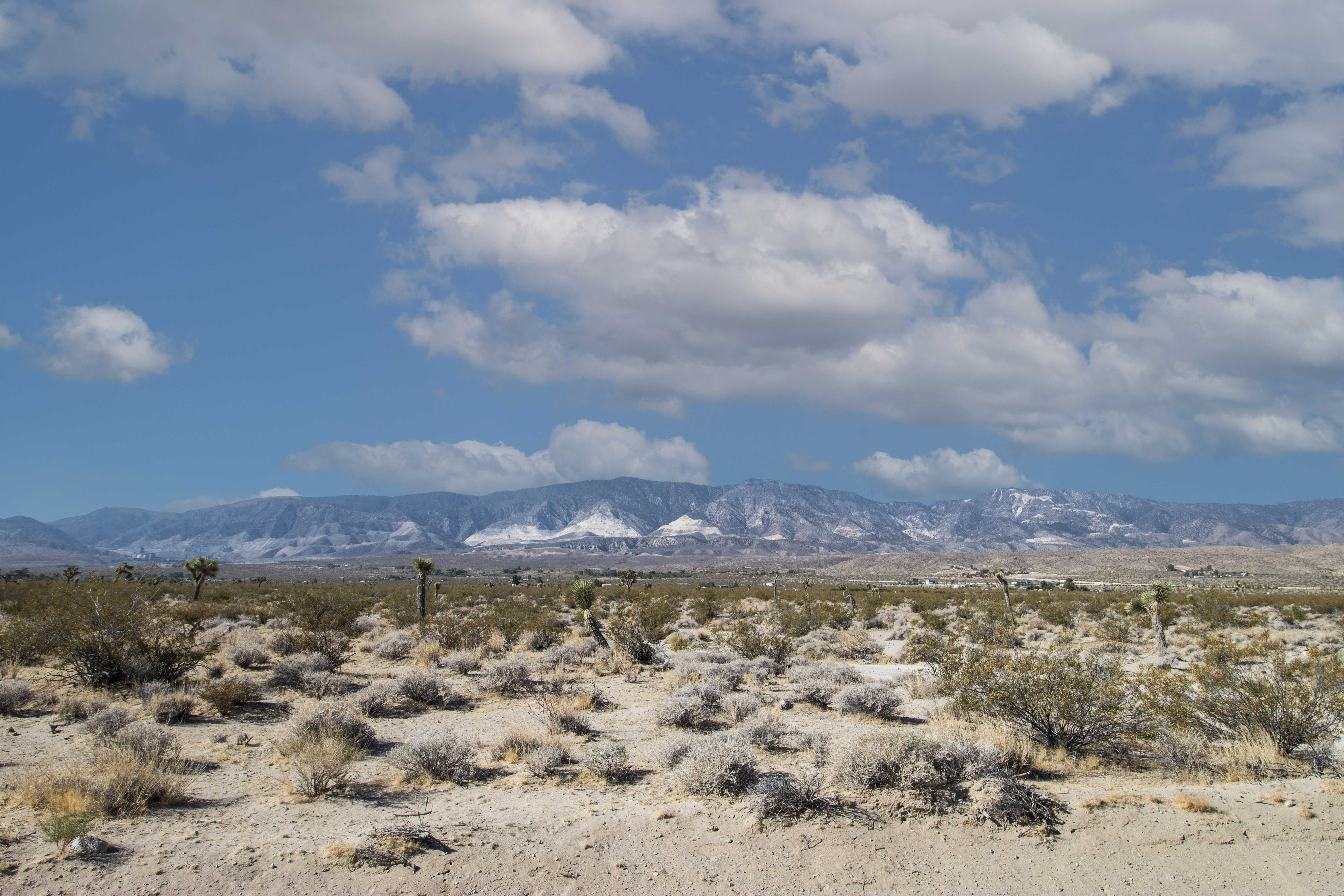 Woodland Street, Lucerne Valley, CA, 92356 - Thumbnail 4