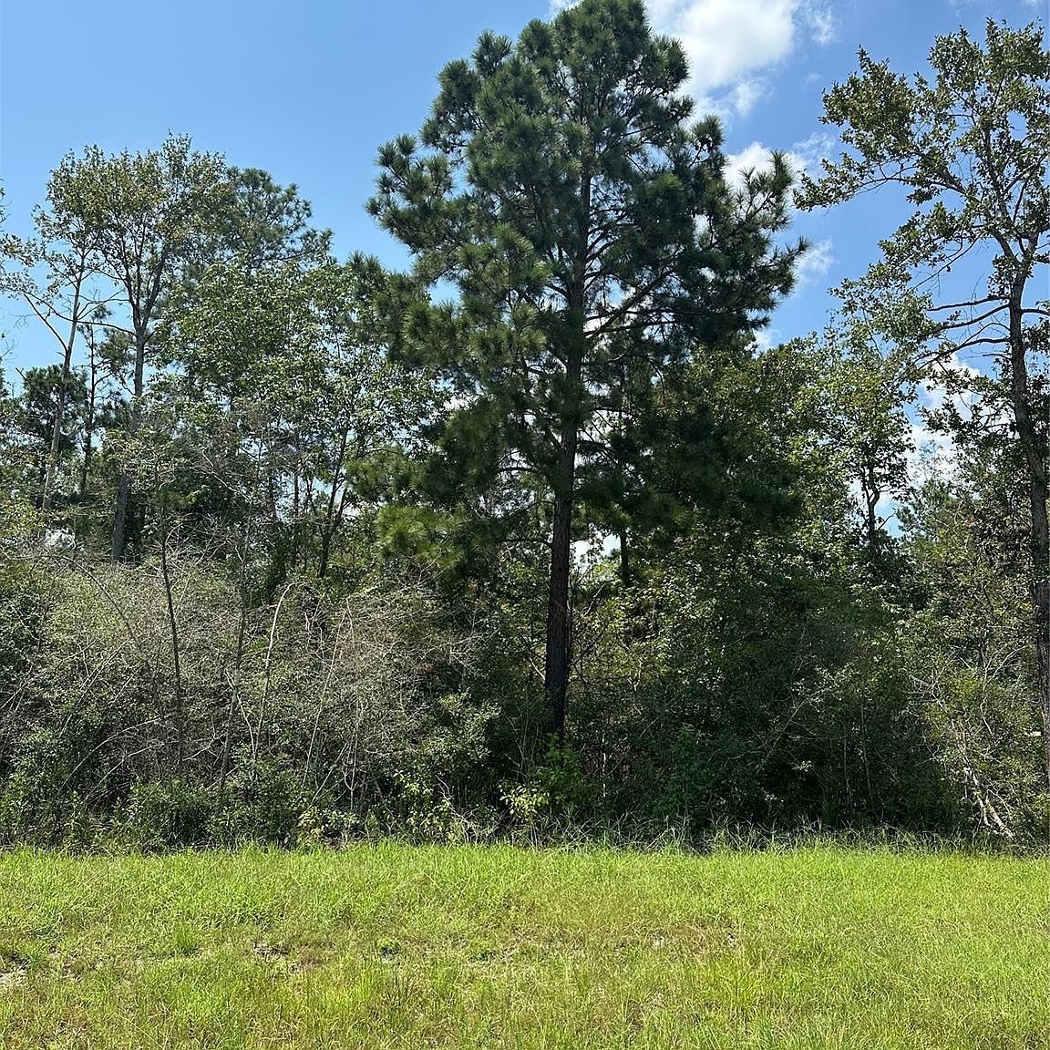 377 Exploration Rd New Waverly, TX 77358 - Thumbnail 4