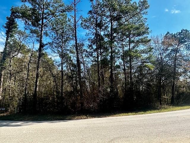 N/a Robinhood Ct/robinhood Ln Lot 2 Hockley, TX 77447 - Thumbnail 4