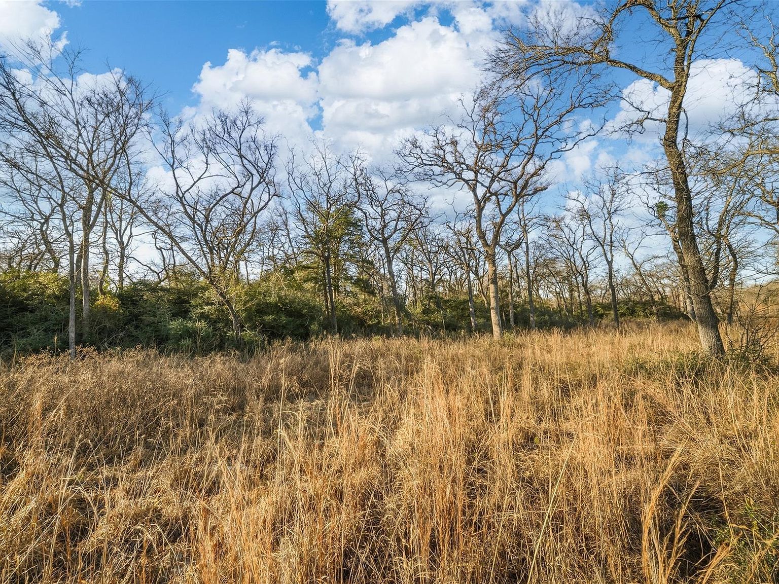 W Fm 979 Franklin, TX 77856 - Thumbnail 4