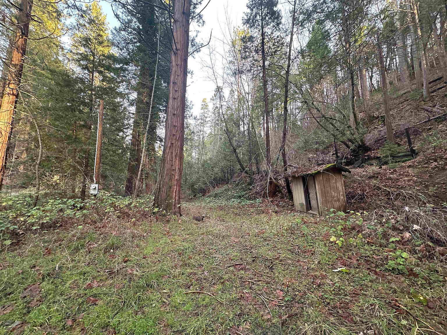 22895 S Fork Rd Twain Harte, CA 95383 - Thumbnail 4