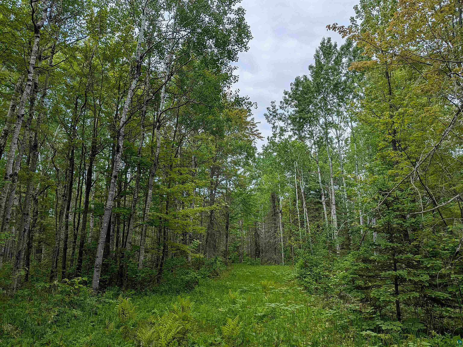 Near Tar Paper Aly Brule, WI 54820 - Thumbnail 4