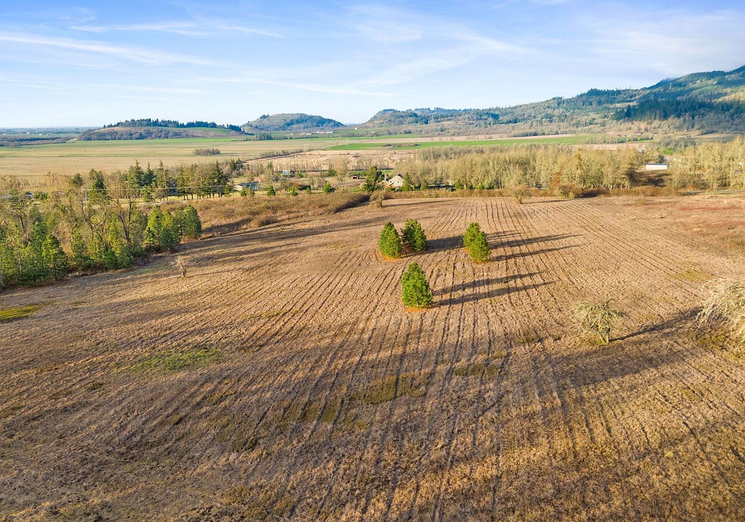 Diamond Ridge Loop Eugene, OR 97408 - Thumbnail 4