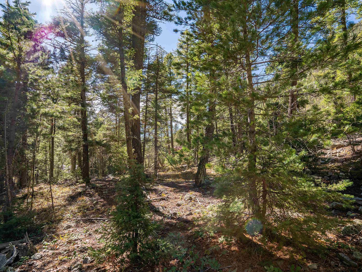 LOT 9 Emma Rd Taos Ski Valley, NM 87525 - Thumbnail 4