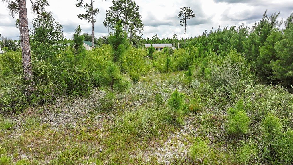 LOT 21 Chellsey St Wewahitchka, FL 32465 - Thumbnail 4