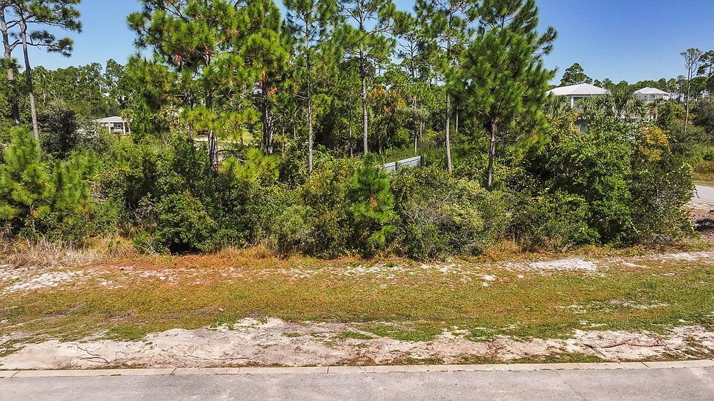 210 Stingray Ln Port Saint Joe, FL 32456 - Thumbnail 4