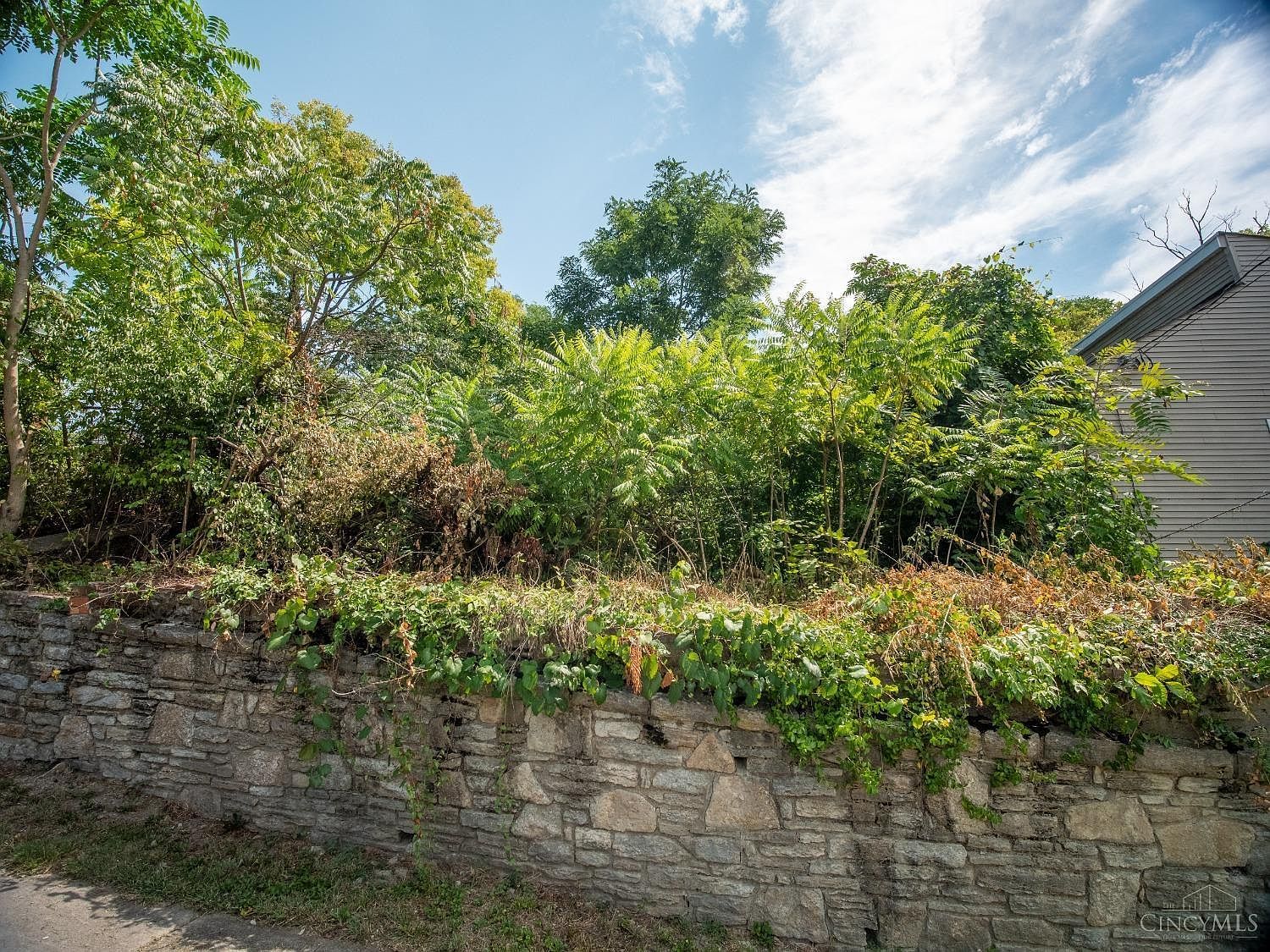 2224 Iowa Ave Cincinnati, OH 45206 - Thumbnail 4