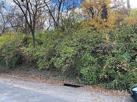 521 Tafel St Cincinnati, OH 45225  | Land/Lot