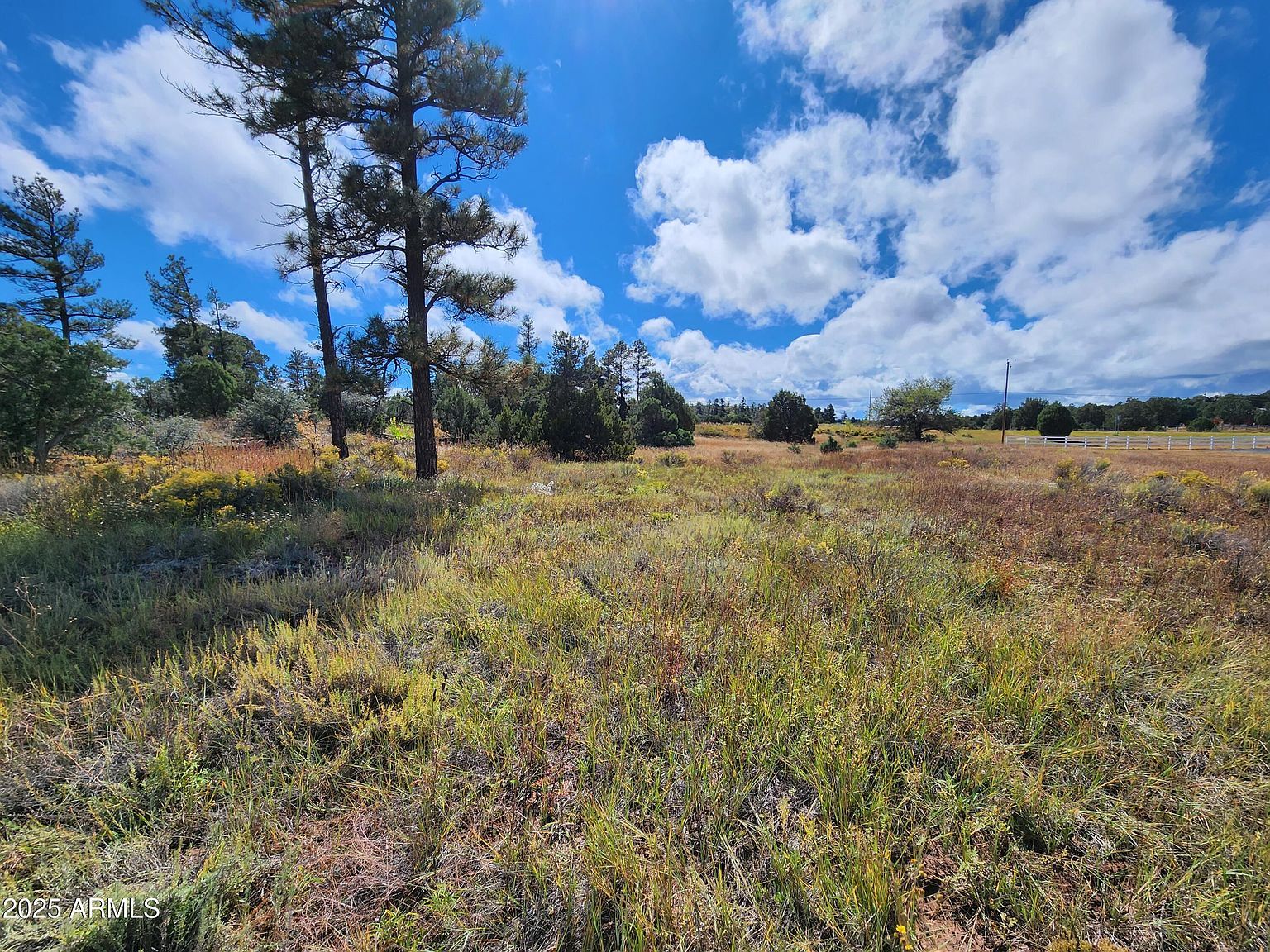 6662 State Route 260 Show Low, AZ 85901 - Thumbnail 4