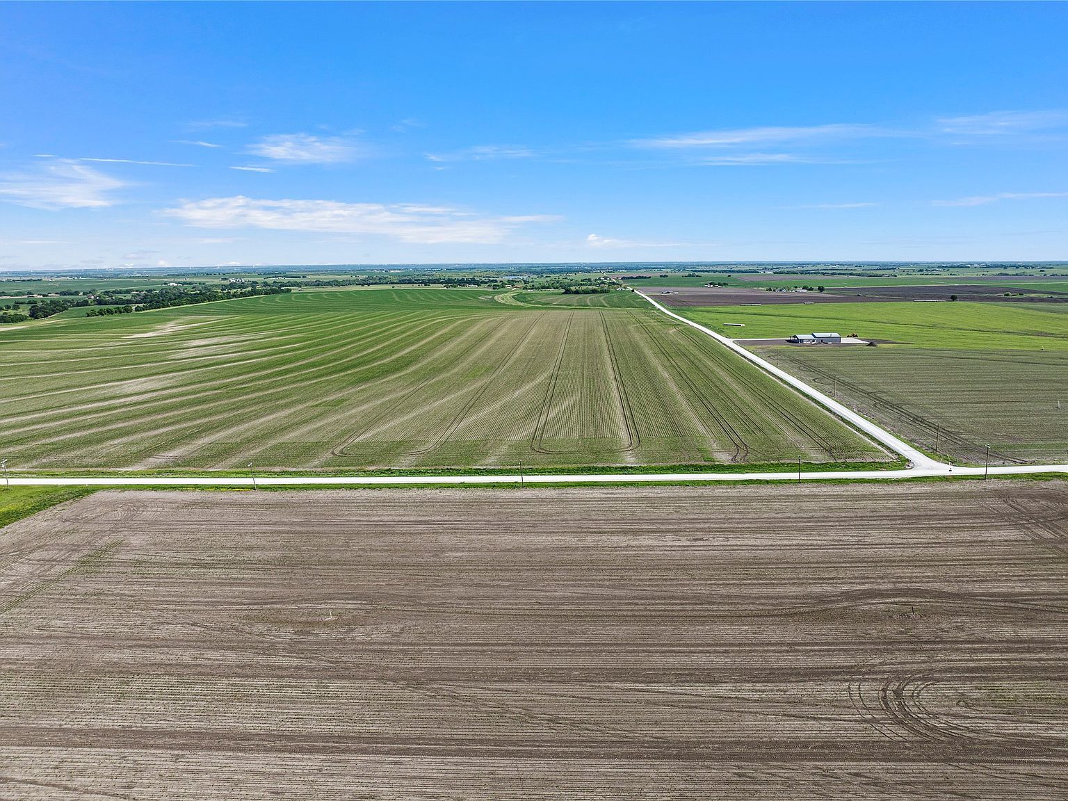 Trlica Rd West, TX 76691 - Thumbnail 4