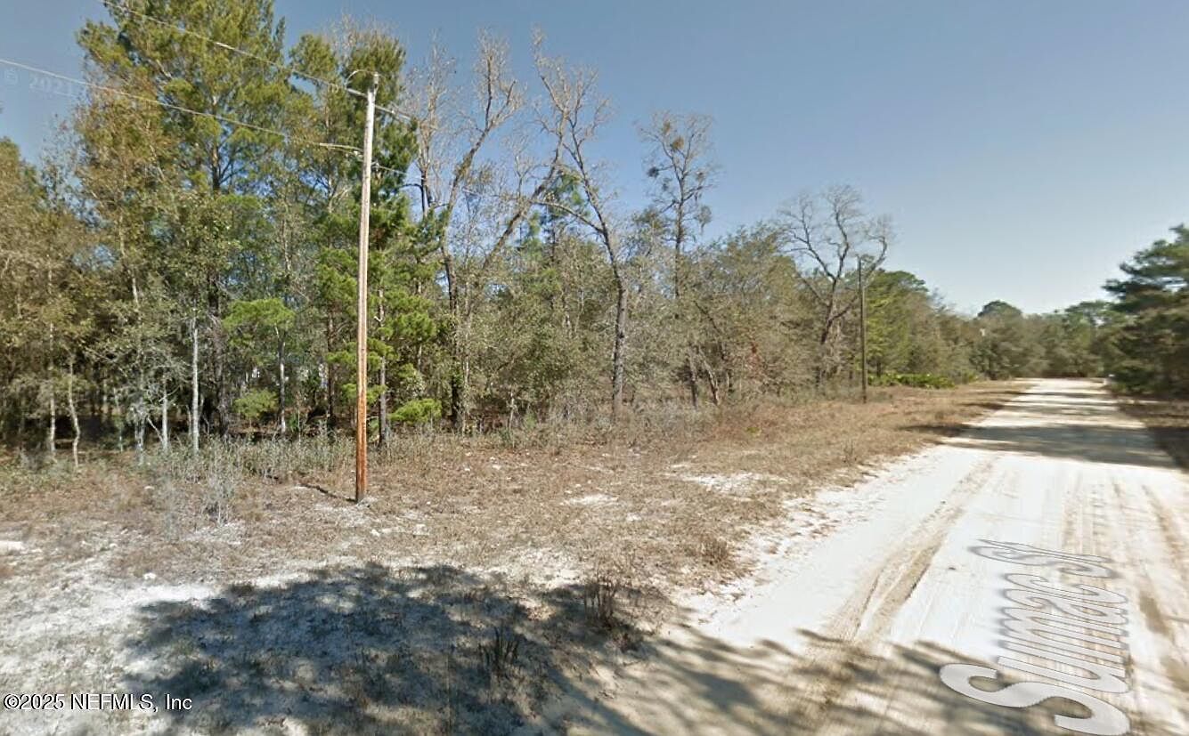 114 Sumac St, Interlachen, FL, 32148 - Thumbnail 4