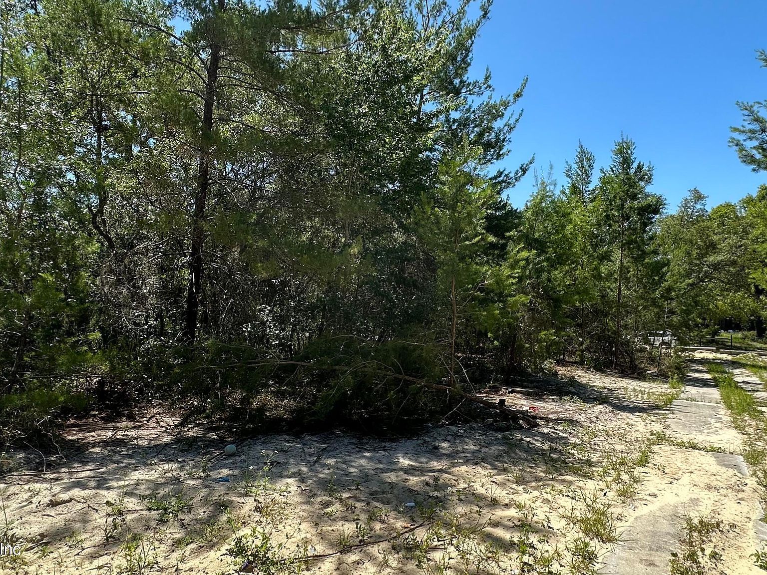 110 Lincoln St Satsuma, FL 32189 - Thumbnail 4