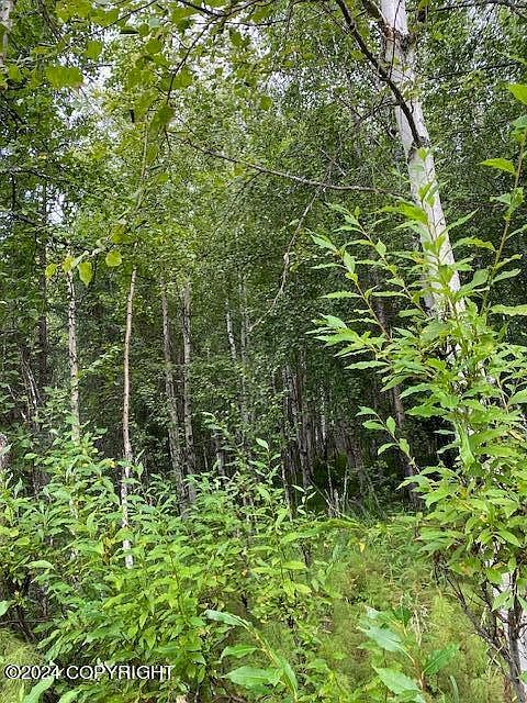 3846 N White Knight Dr Wasilla, AK 99623  | Land/Lot