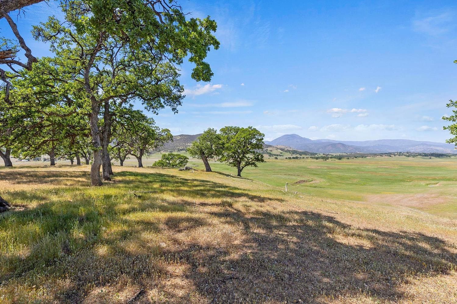 0 Lodoga Stonyford Rd Stonyford, CA 95979 - Thumbnail 4