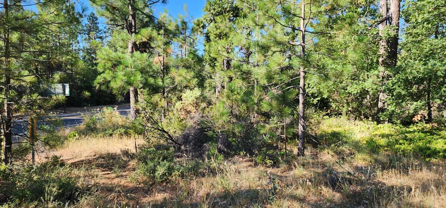 8671 La Porte Rd Brownsville, CA 95919 - Thumbnail 4