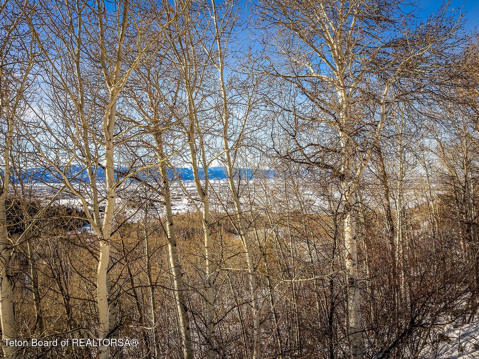 3040 Canyon Crest Dr Victor, ID 83455 - Thumbnail 4