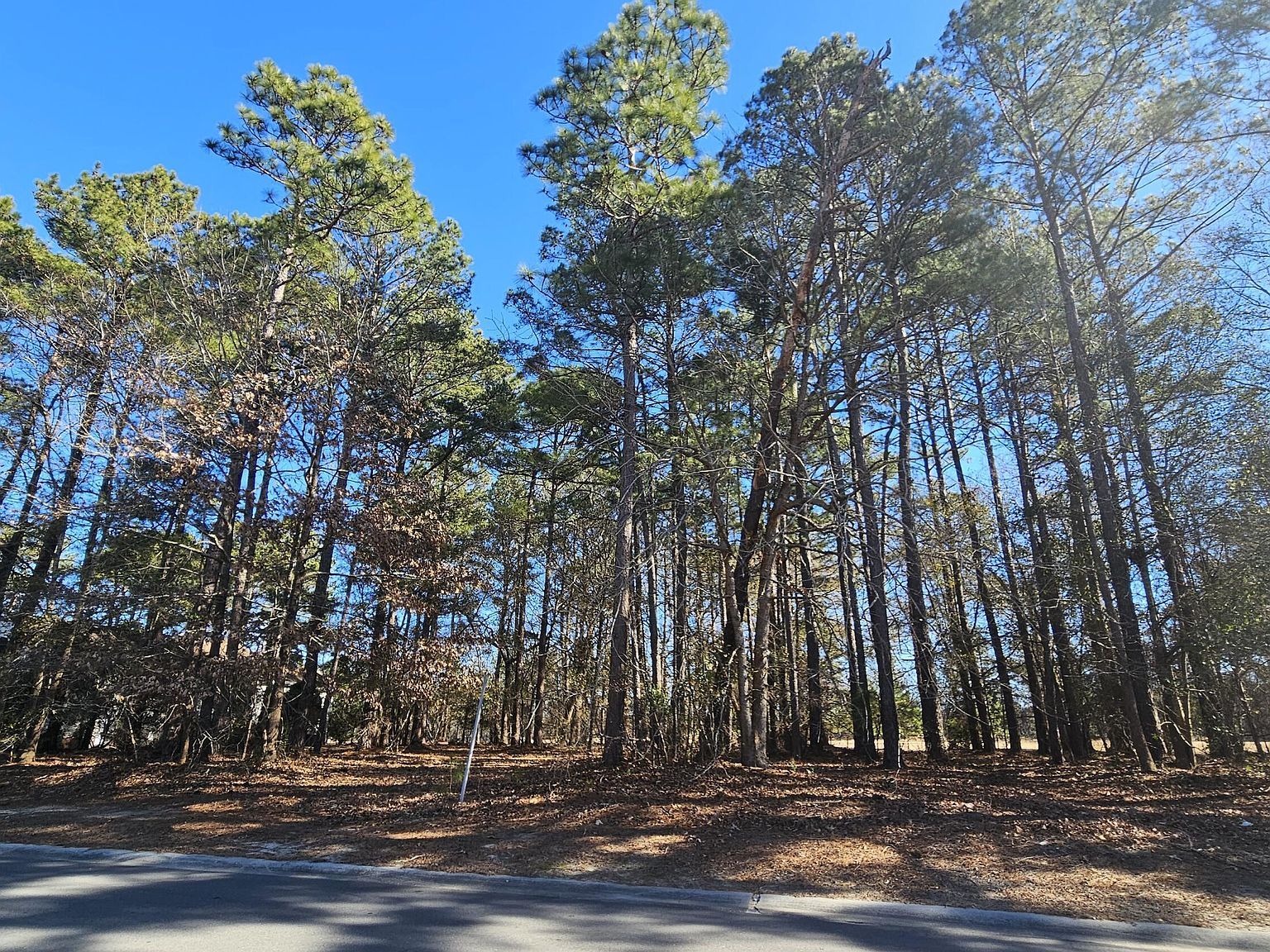 118 Pilot House Dr Wallace, NC 28466 - Thumbnail 4