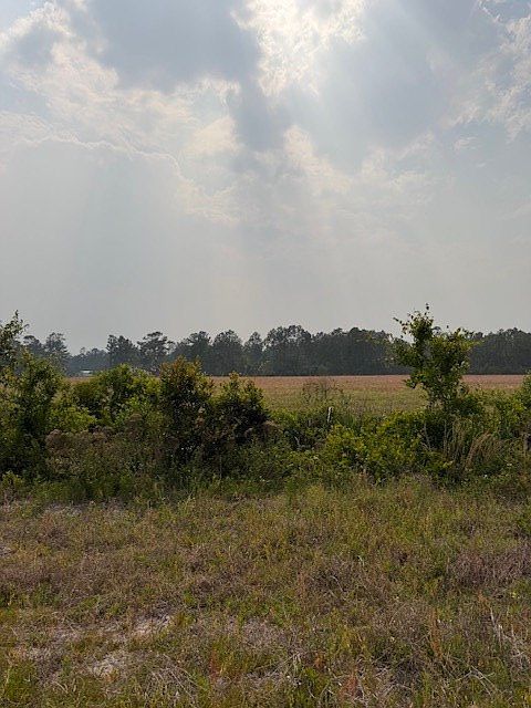 0 Moore Rd Tract 14 Naylor, GA 31641 - Thumbnail 4