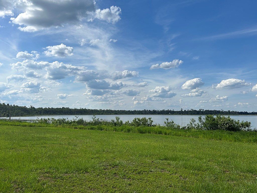 5976 Peterson Rd Lake Park, GA 31636 - Thumbnail 4