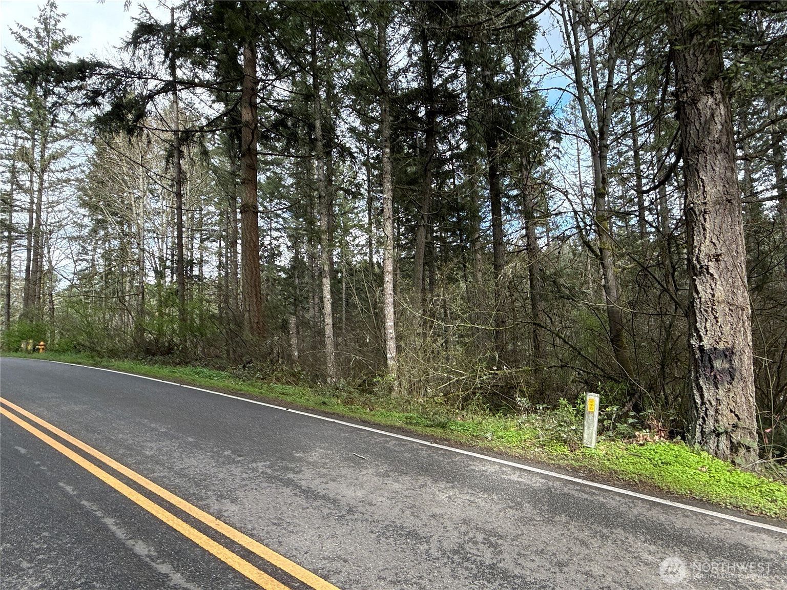 17636 E Clear Lake Blvd SE Yelm, WA 98597 - Thumbnail 4