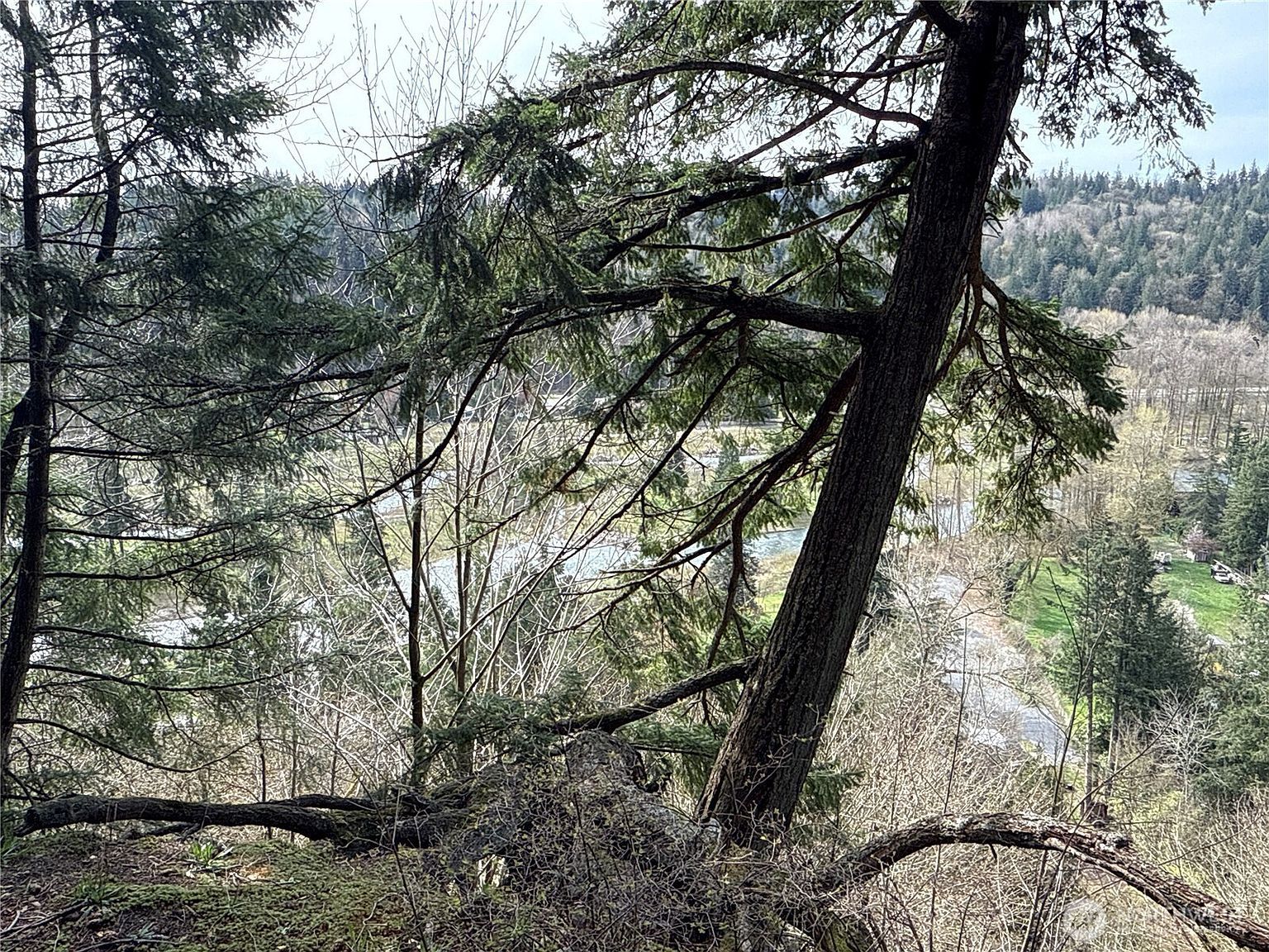 149 Xx 175th Ave SE Renton, WA 98059 - Thumbnail 4