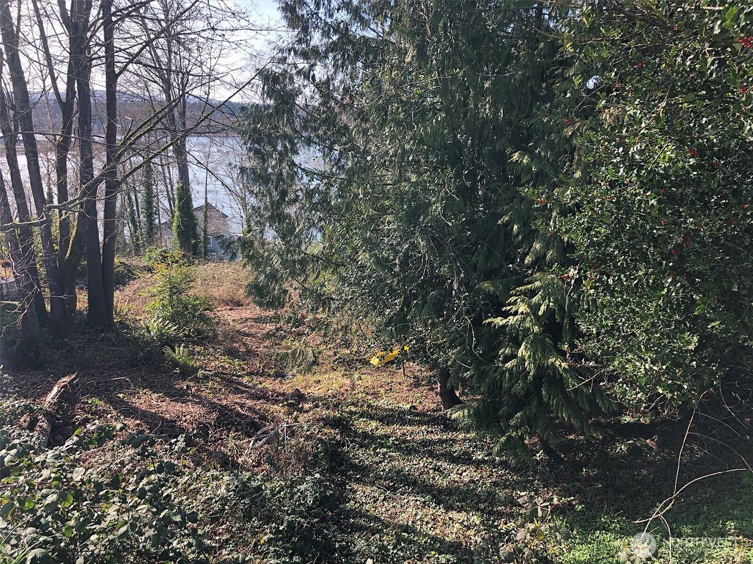 1919 Berry St NE Olympia, WA 98506 - Thumbnail 4