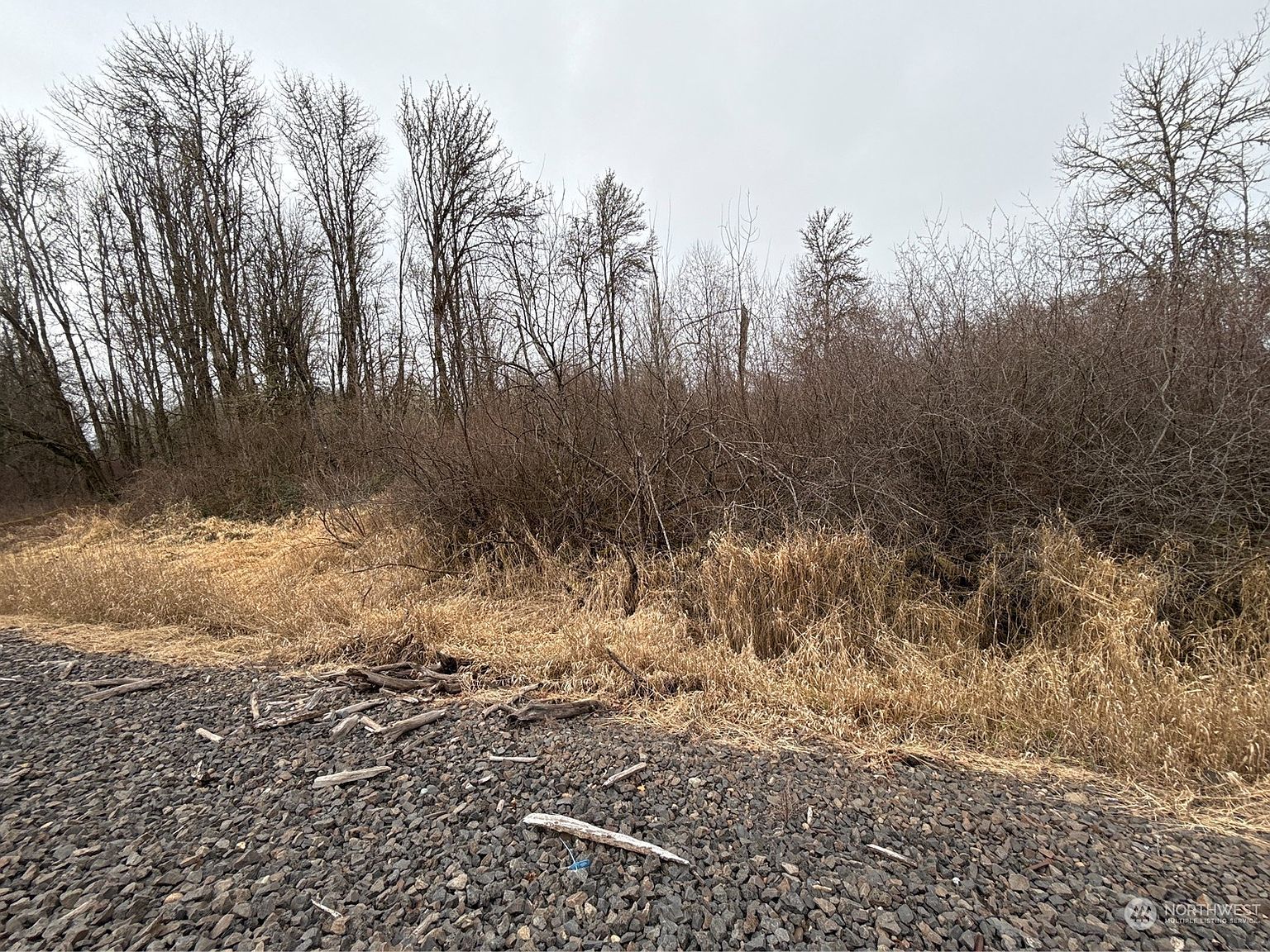 24 Xx Howard Ave Centralia, WA 98531 - Thumbnail 4