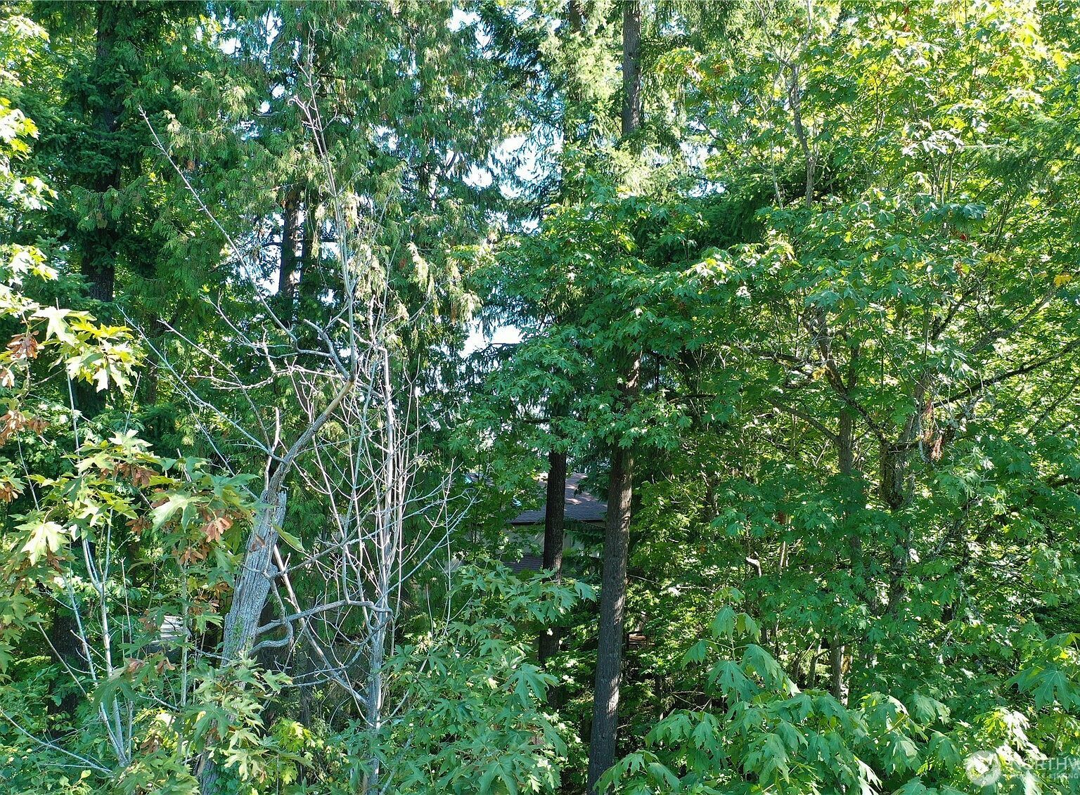 9458 SE 47th St Mercer Island, WA 98040 - Thumbnail 4