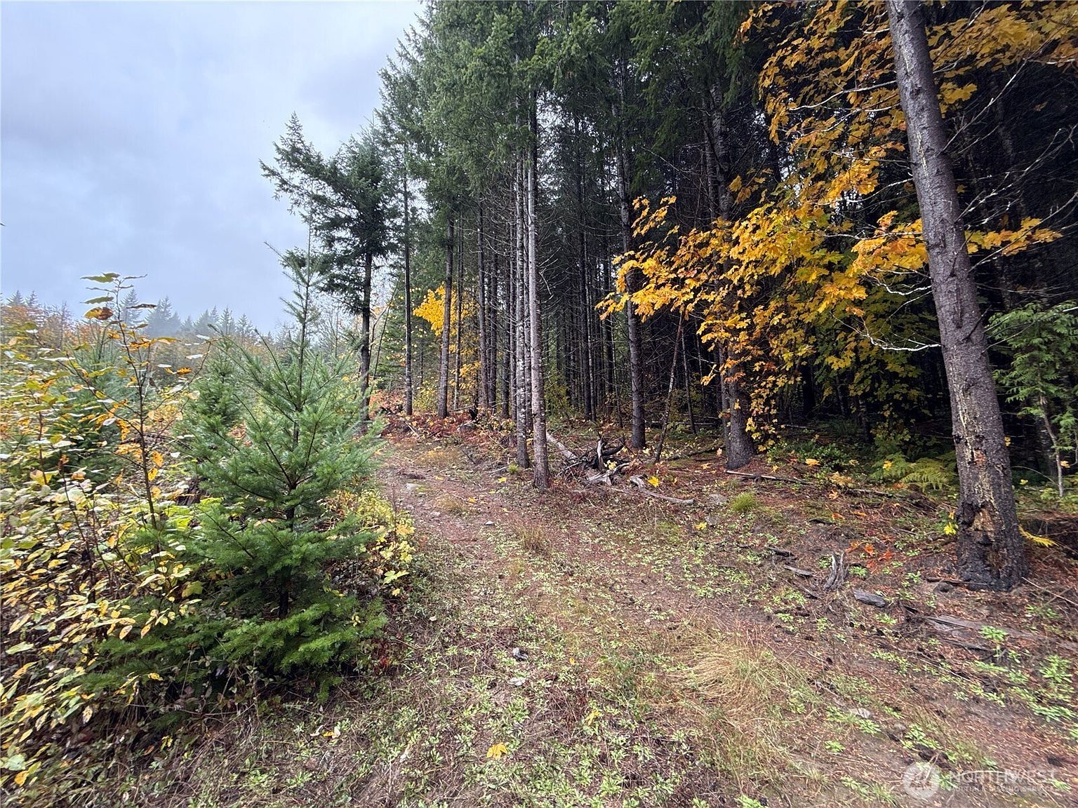 4 Xx Forest Rd #52 Kennewick, WA 99338 - Thumbnail 4