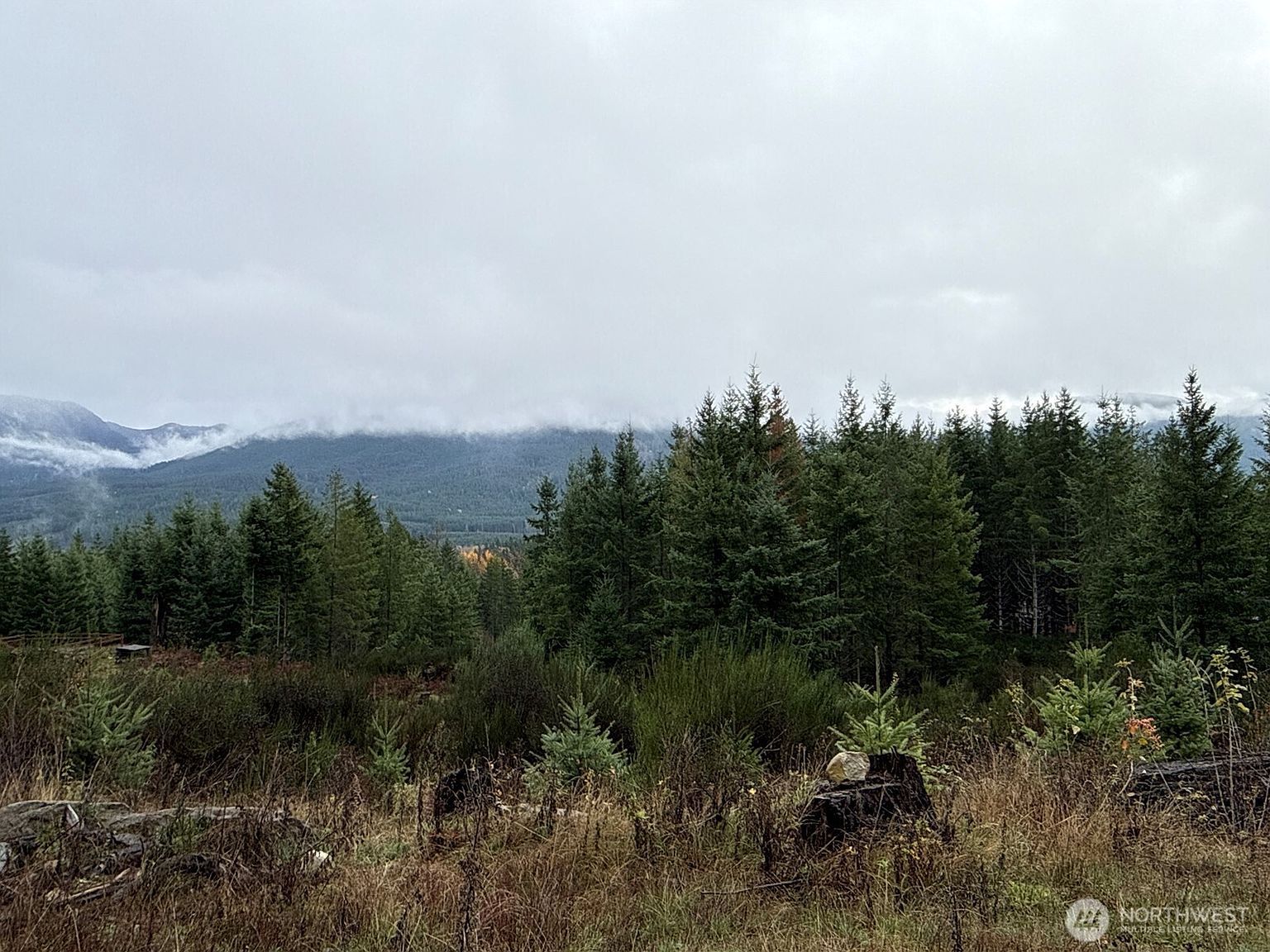 2 Xx Forest Rd #52 Packwood, WA 98361 - Thumbnail 4