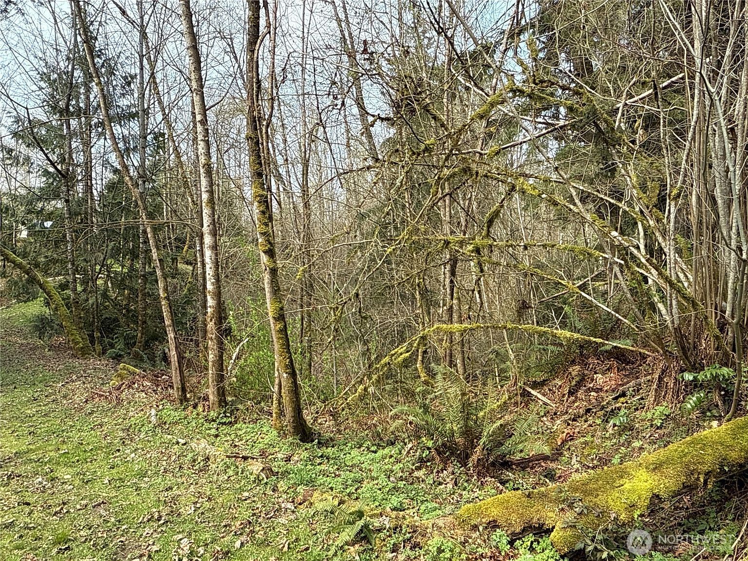 22 212th Ave SE Maple Valley, WA 98038 - Thumbnail 4