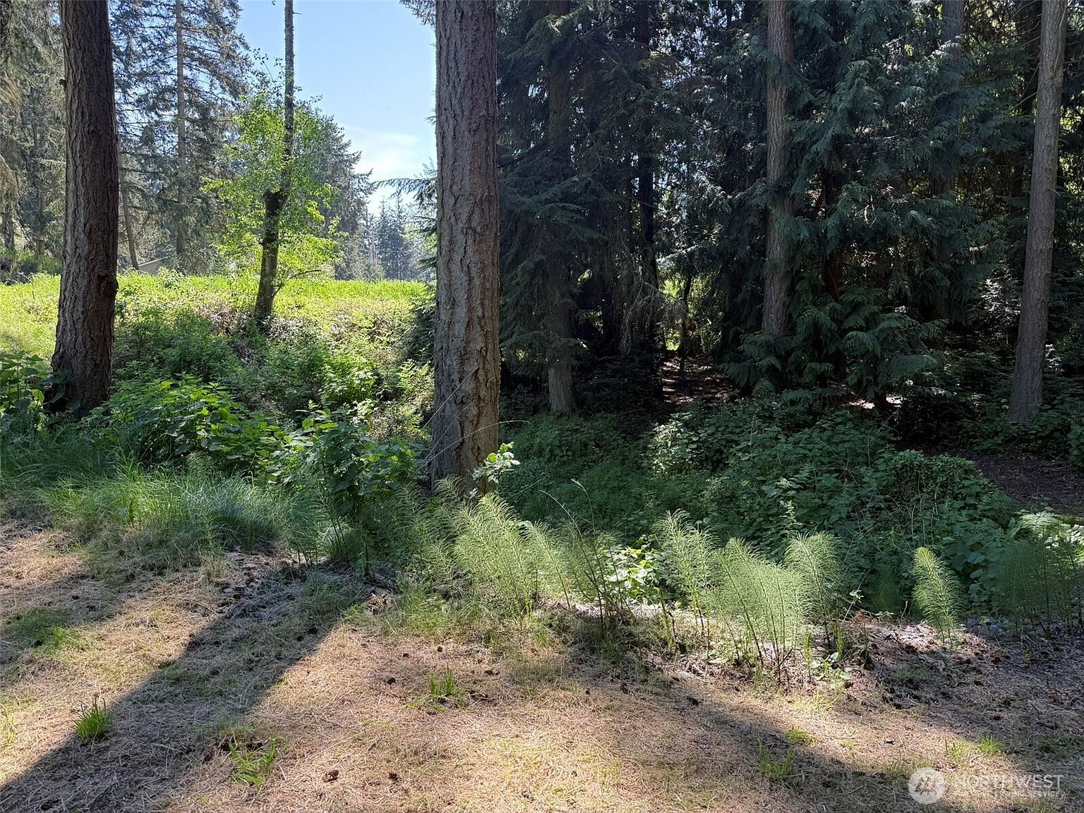 5860 Fish Rd Freeland, WA 98249 - Thumbnail 4