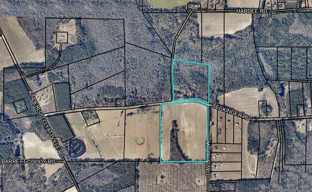 LOT 5 Davis Rd SW Valdosta, GA 31601 - Thumbnail 4