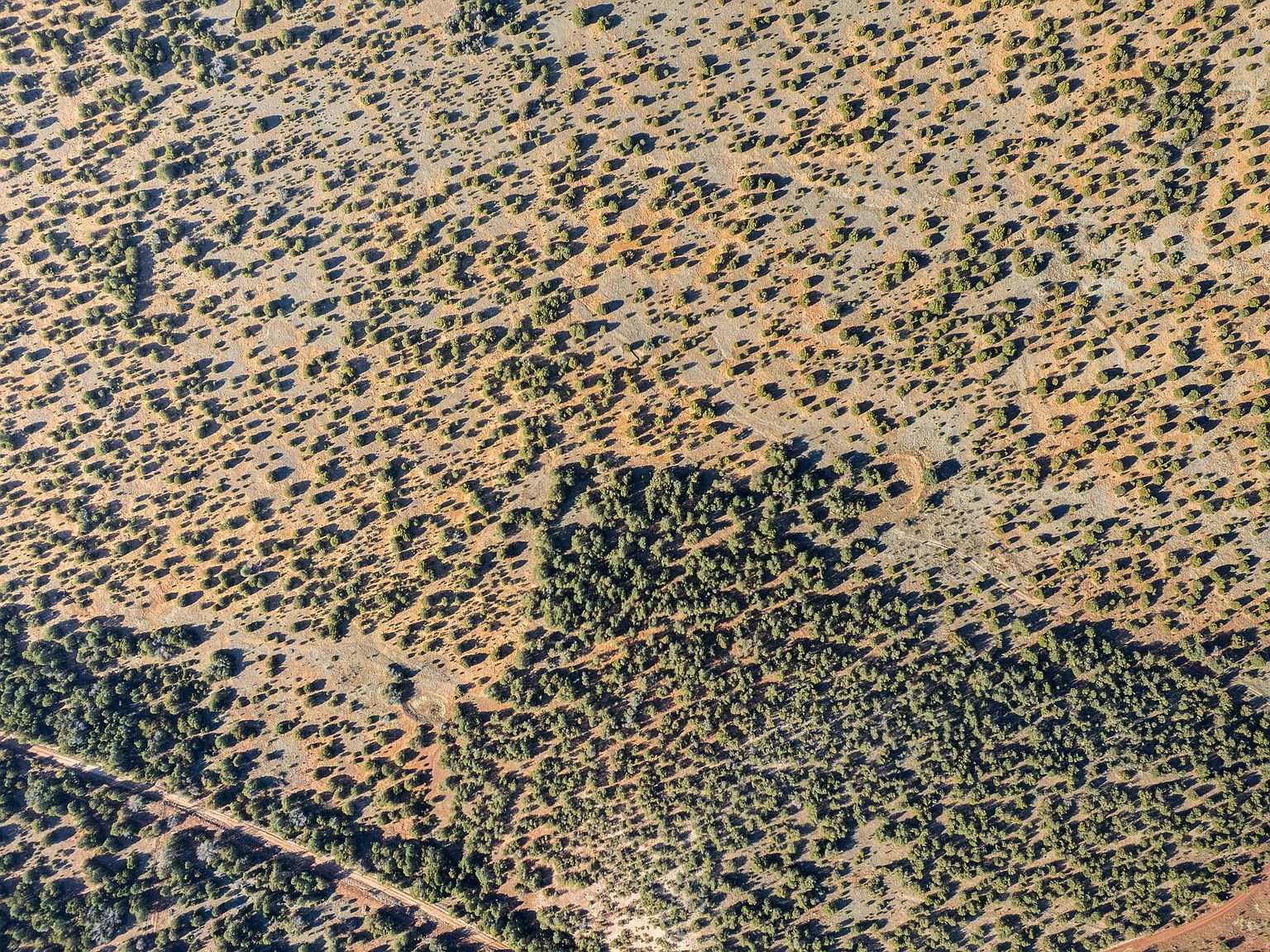 Subd Manzano Grant S #31 & 32 Mountainair, NM 87036 - Thumbnail 4