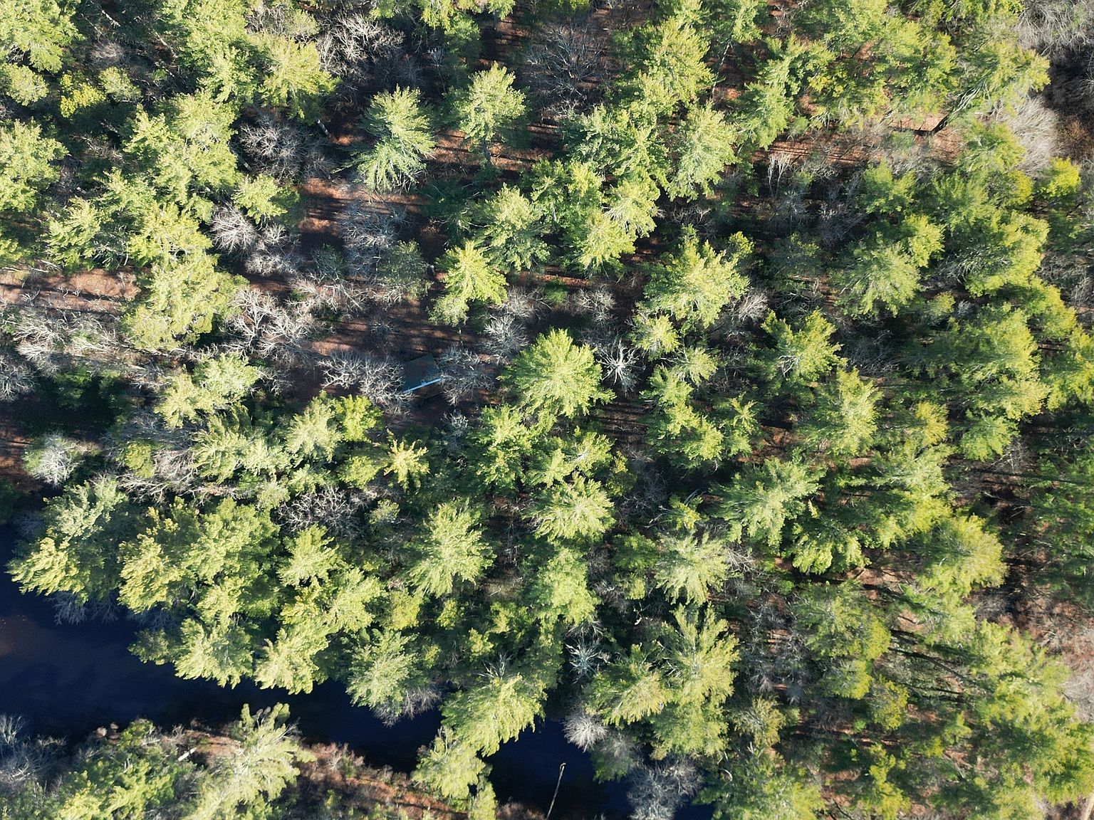 81 Deerfield Dr Sterling, CT 06377 - Thumbnail 4