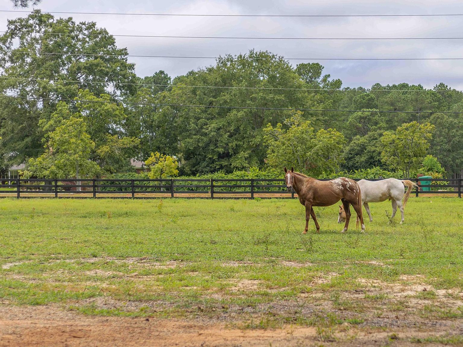 311 Walnut Ln North Augusta, SC 29860 - Thumbnail 4