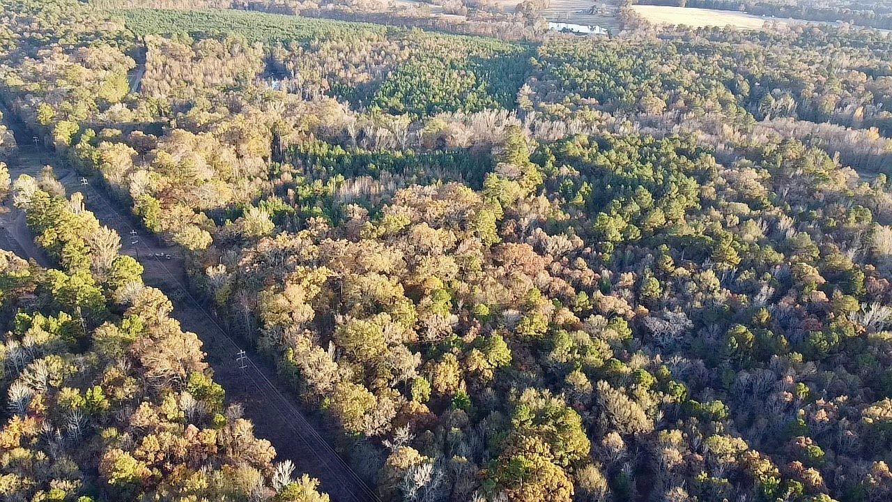 Cactus Rd Pittsburg, TX 75686 - Thumbnail 4