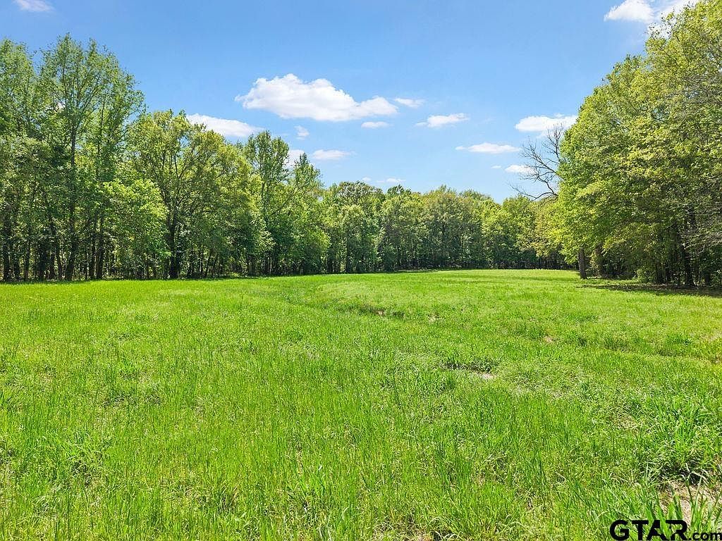 Vz County Road 4505 Ben Wheeler, TX 75754 - Thumbnail 4