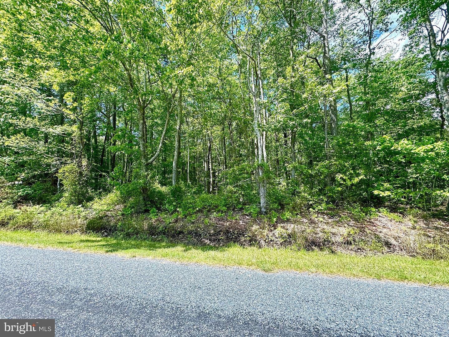 0 Anderson Rd Princess Anne, MD 21853 - Thumbnail 4