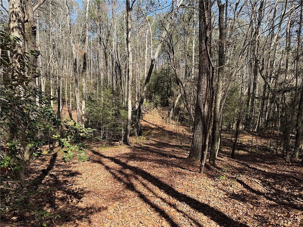 0 Golden Hickory Drive Anderson, SC 29621 - Thumbnail 4